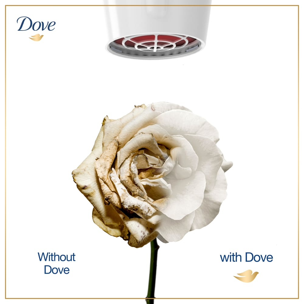Dove Shampoo Nourishing Oil Care - 200ml