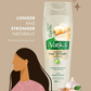 Dabur Vatika Garlic Hair Growth Spanish Shampoo - 360ml